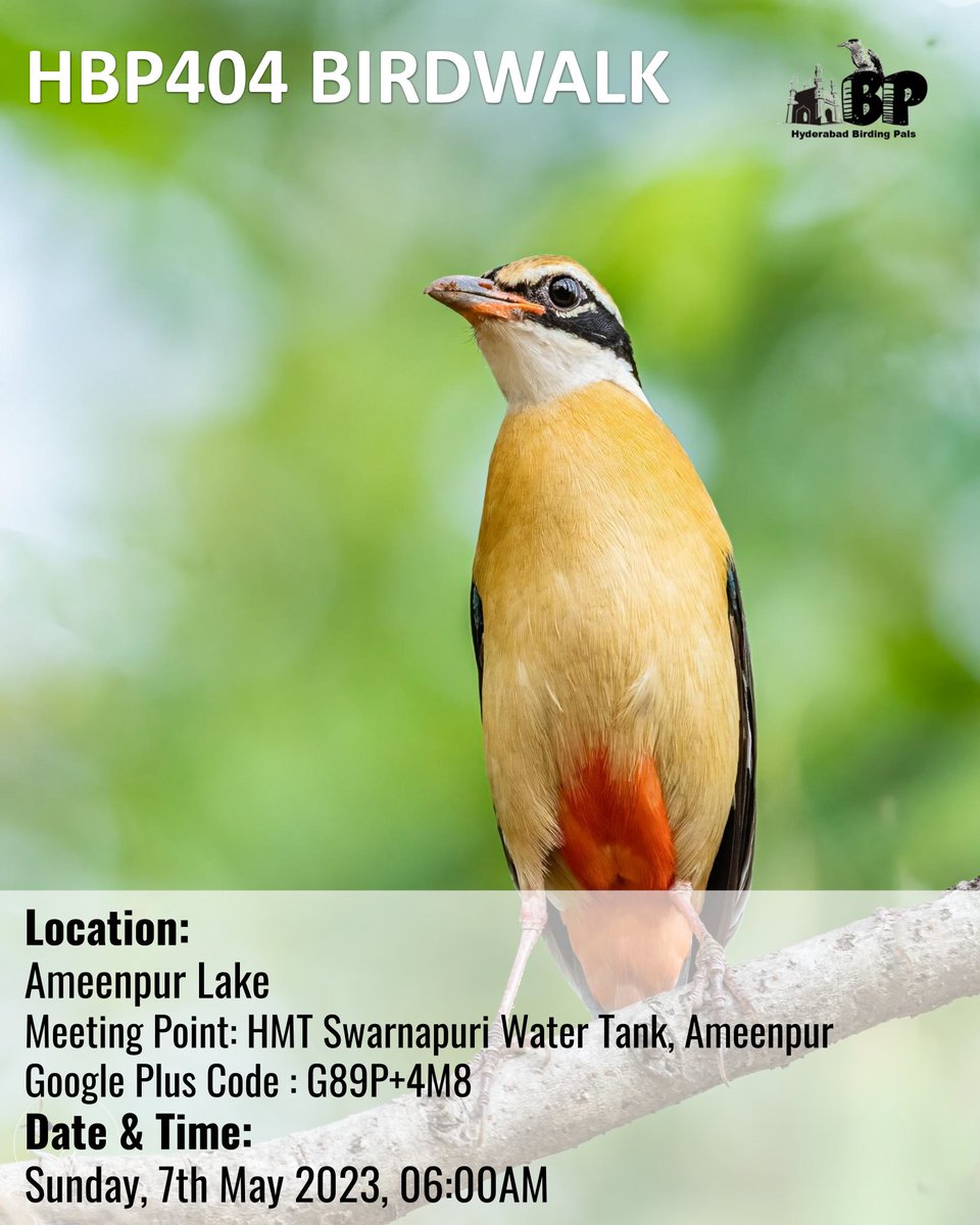 #HBP404 Birdwalk on 7May2023 at #Ameenpurlake
#telanganabirdinghotspots
#HBPBirdwalk
#sundaybirdwalks
#birding
#birdinghobby
#hyderabadbirdingpals
#birdwalks
#birdphotography
#birdphotographers
#birdwatchers
#birdwatchinghobby
#birdwatching