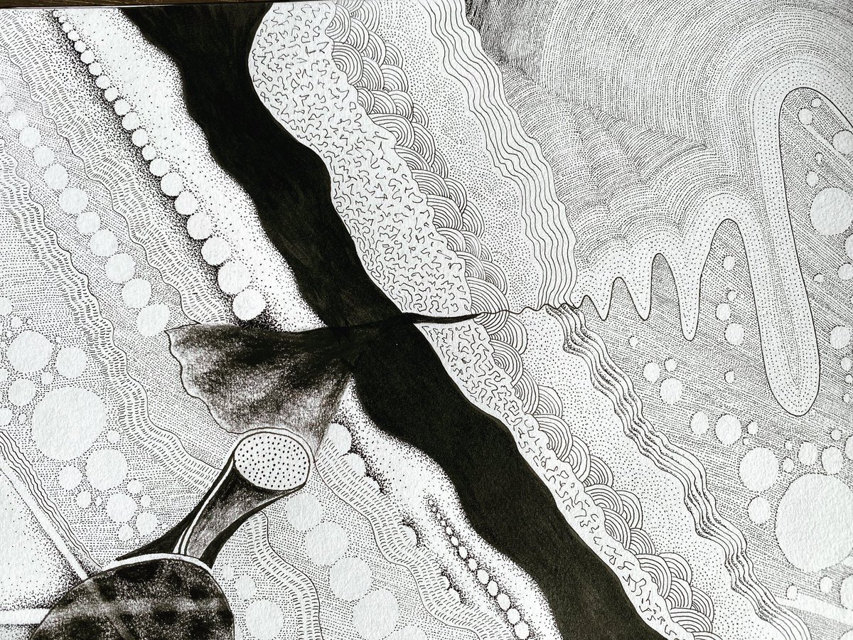 leeraelnft's tweet photo. New illustration finished. 20+ hrs of stippling and fine pen marks playing with texture and movement. #art #nftartists #nftcommunity #nftcollectors still to be minted… https://t.co/USmImAYhsl