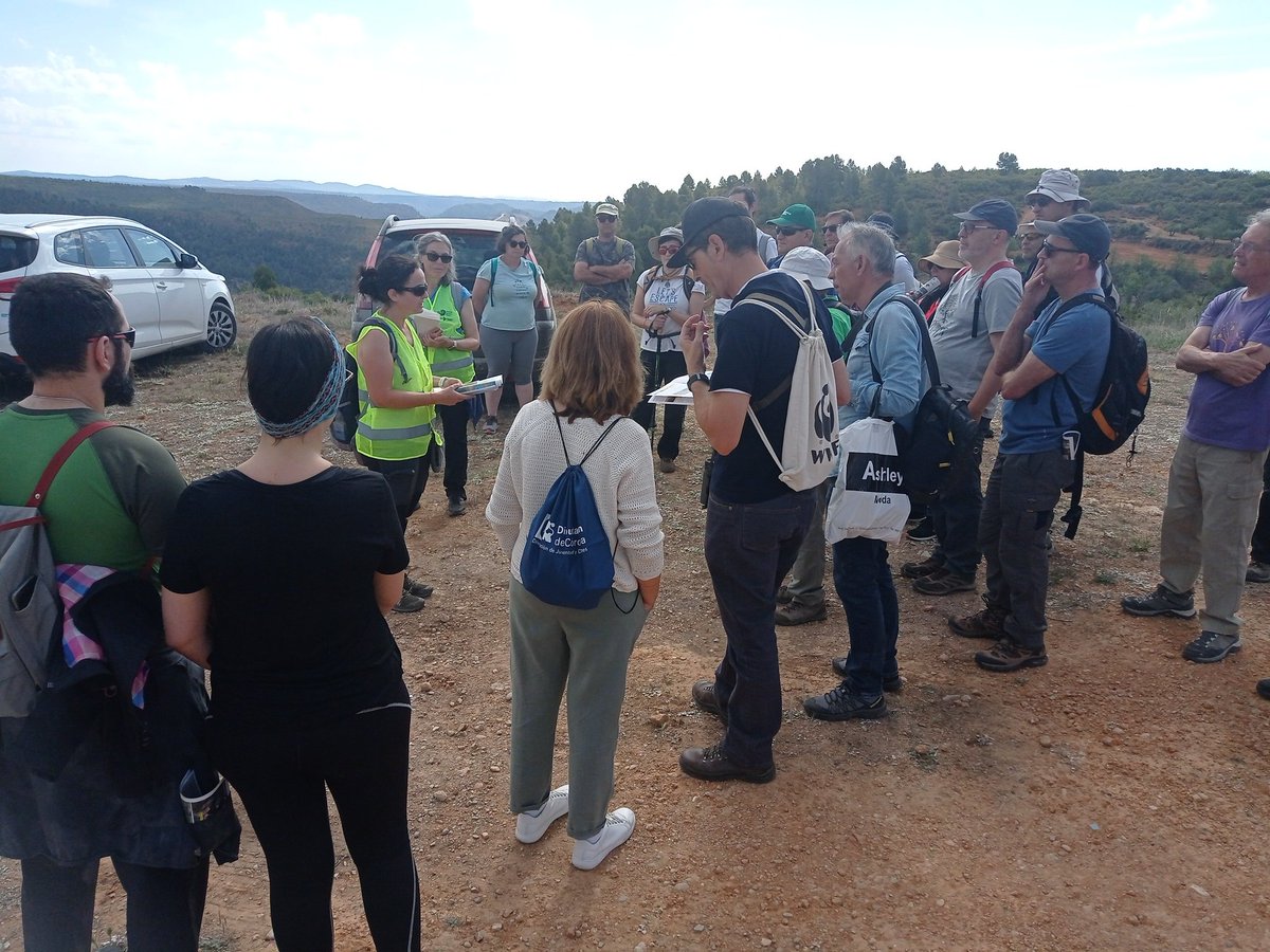 Mercedes Llandres tweet media