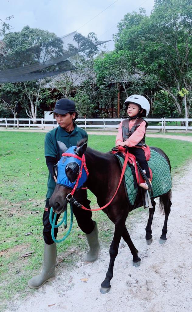 FamilyRexD's tweet photo. Pertama kali Baby D naik kuda. Momy dan Dady yg takut 😄 Baby D minat sangat dengan Kuda ❤️ #kuda #horse https://t.co/U0rdgg3OlP