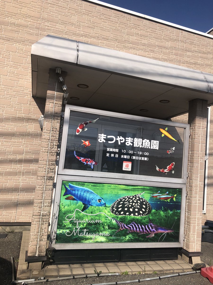tabamasa46's tweet photo. 石川県アクアショップ巡りわず https://t.co/uE7r5MMs4b