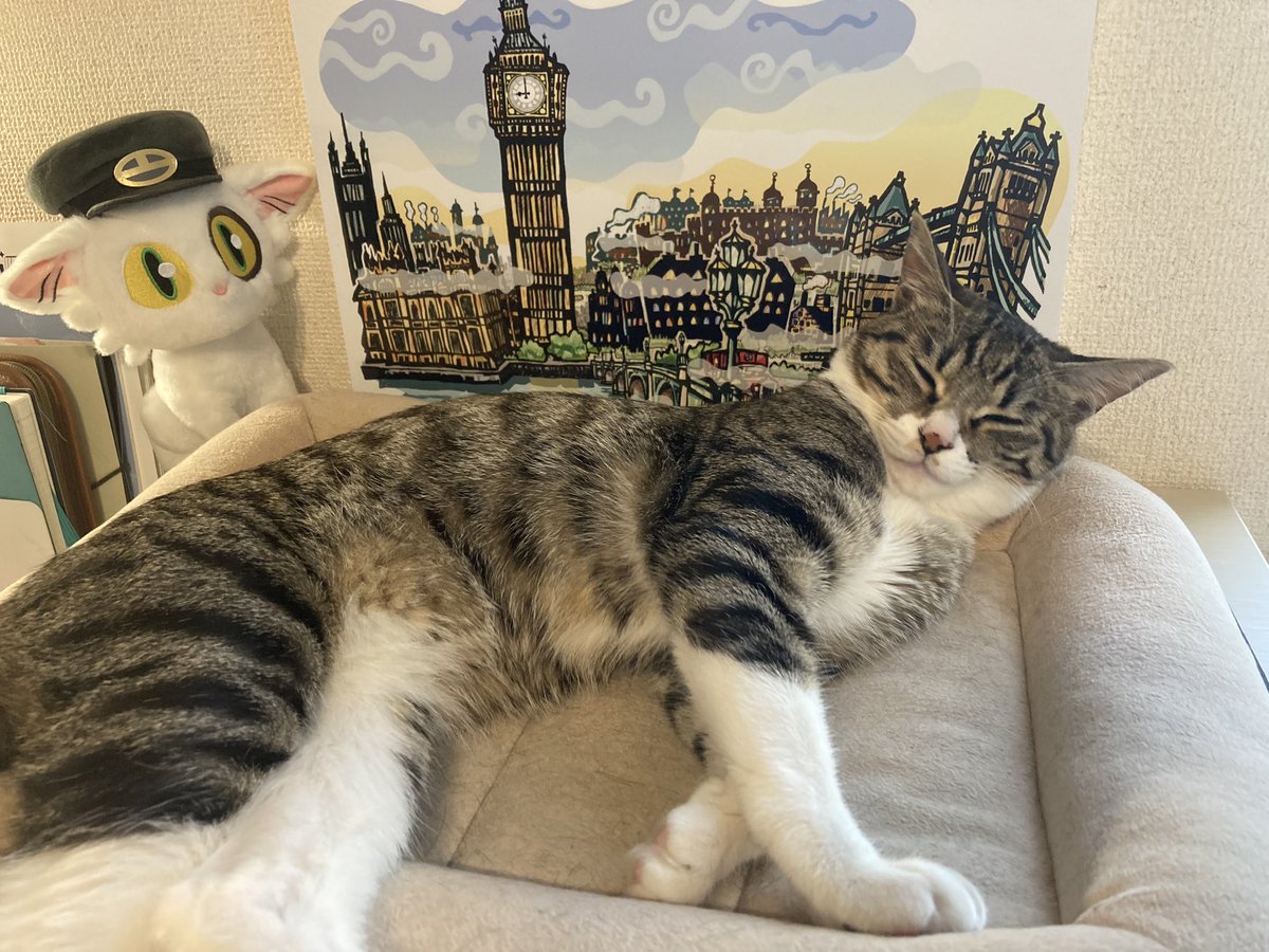 5/2~5/5までお仕事(ほぼ遊びかもです)で静岡県に行ってました、うぇーい✌️
🚗³₃車つかっていきました
1人で運転しました、朝3時に起きて帰ったので渋滞には巻き込まれなかったけどつかれたー！
帰宅後のにゃんず達です https://t.co/pt2Xj7SOBq