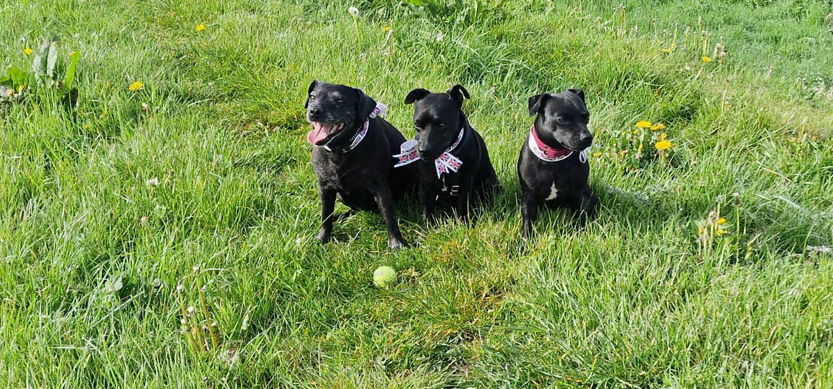 That was a long walk!