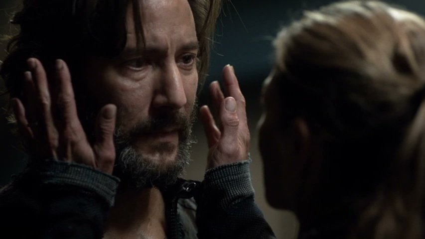 Daily Paige Turco tweet media