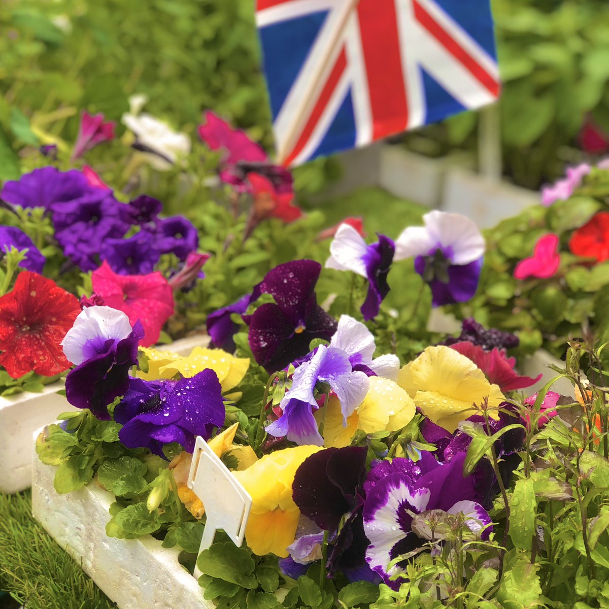 Surrey Markets tweet media