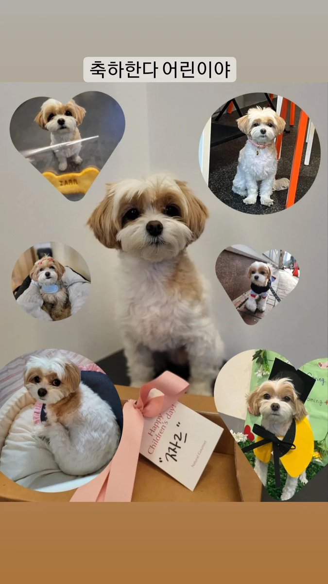 PCYFRANCE's tweet image. [ INSTAGRAM ]  ┊ 05.05.23

‘Félicitations, mon fils !’

Chanyeol a félicité Zzar car hier c’était la journée des enfants en Corée, c'est trop mignon 🥺🫶🏻

#CHANYEOL #찬열 #PCY
#EXO #엑소 @weareoneEXO