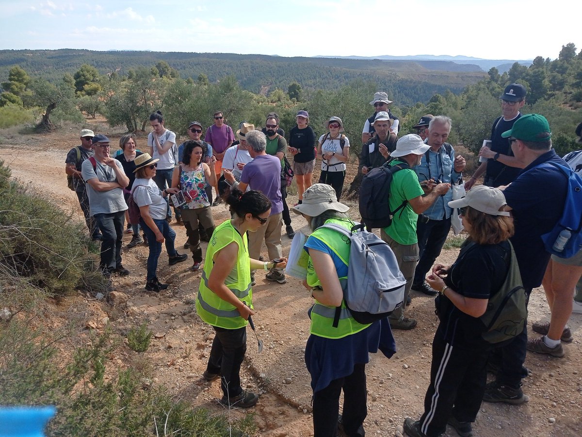 Mercedes Llandres tweet media