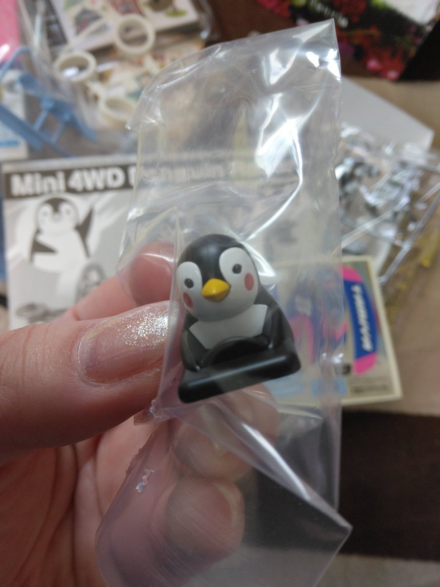 生まれて初めてミニ四駆作りました。

#ペンギン
#ミニ四駆