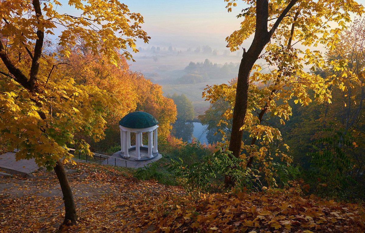UHAsthma's tweet photo. A couple of reasons why you should spend more time in nature:
People who spend four days in nature have a 50% improvement in creative thinking when solving problems.
The outdoor recreation also reduces the risk of myopia in children. #healthlifestyle https://t.co/1rsHVCtZwM