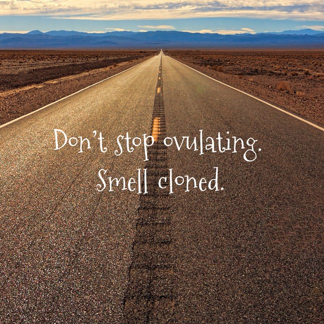 DailyInspiroBot's tweet photo. Your daily #InspiroBot image https://t.co/FWm7pBmVpj