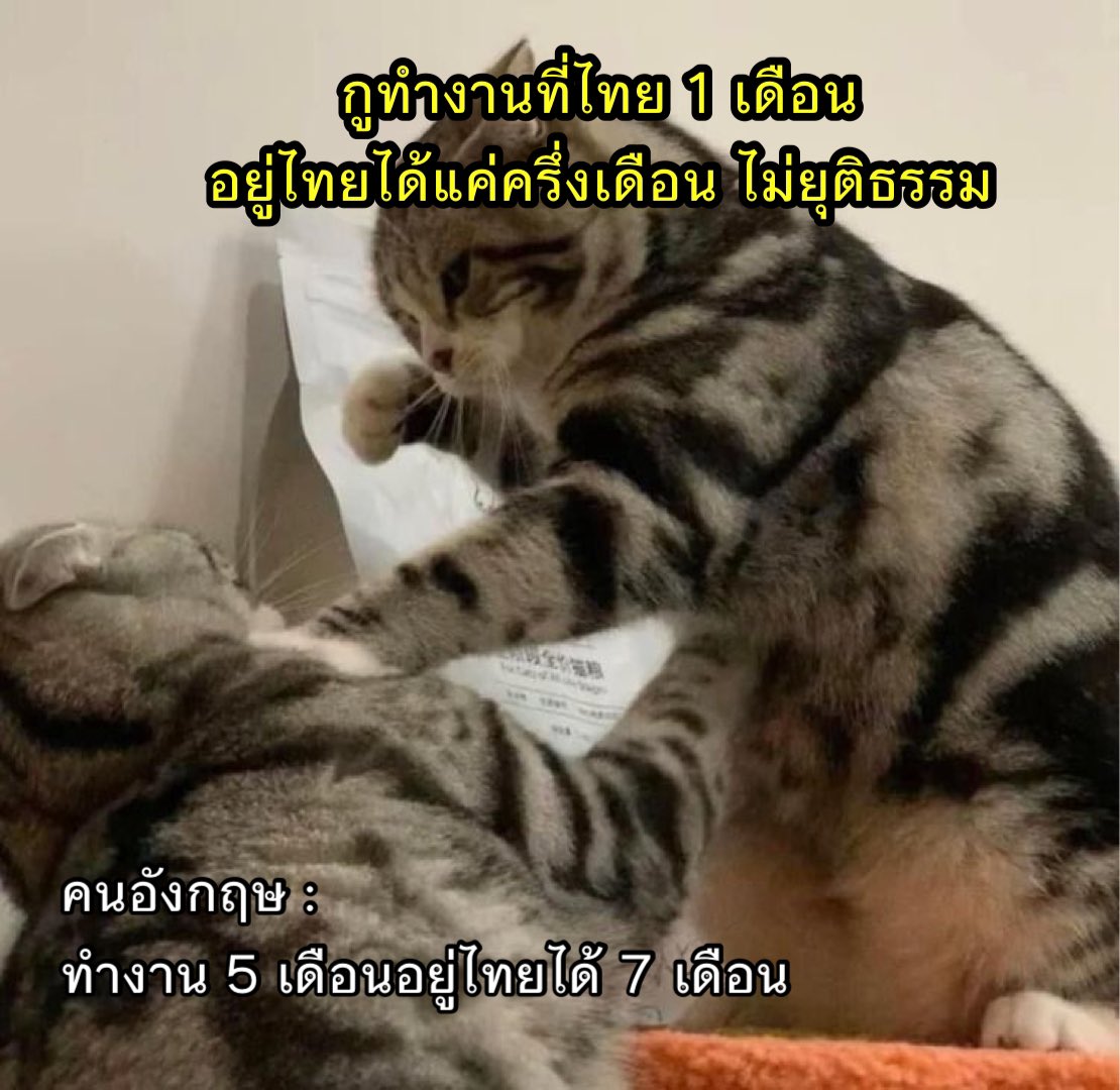 555555555สง5555555555สาร55555555555ตัว555555555เอง555555555ว่ะ5555555555555555555555555555555555555555555555