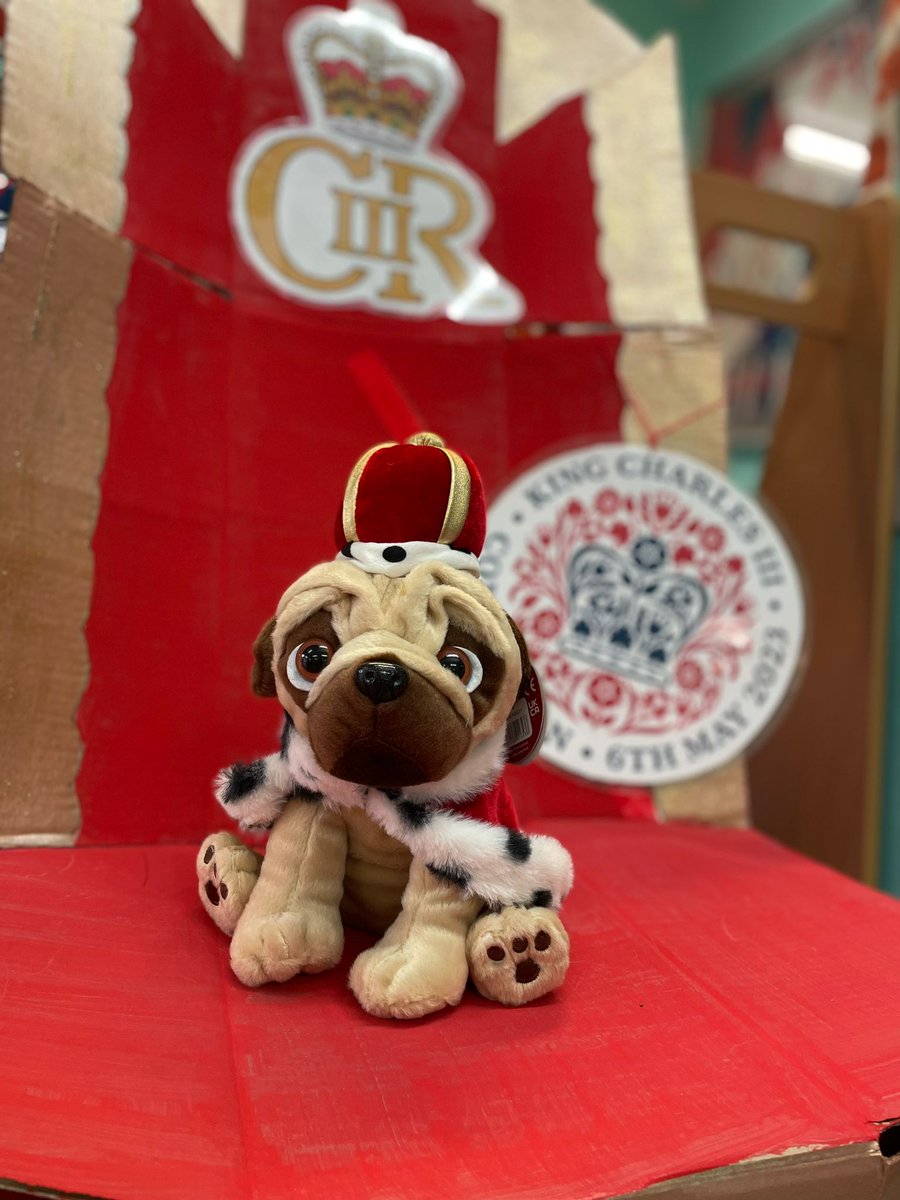 NGH Play Team tweet media