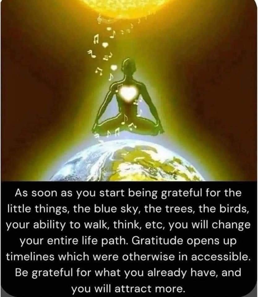 Robin Webster tweet media