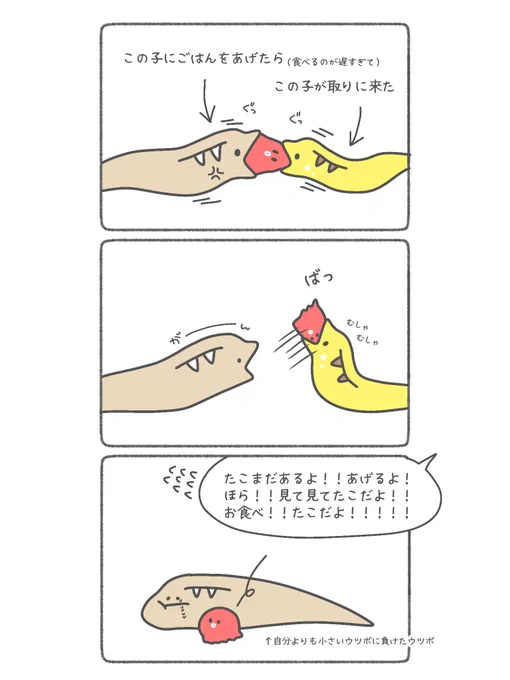 ウツボ日記  ごはんの取り合いに負けてしょんぼりしてた
