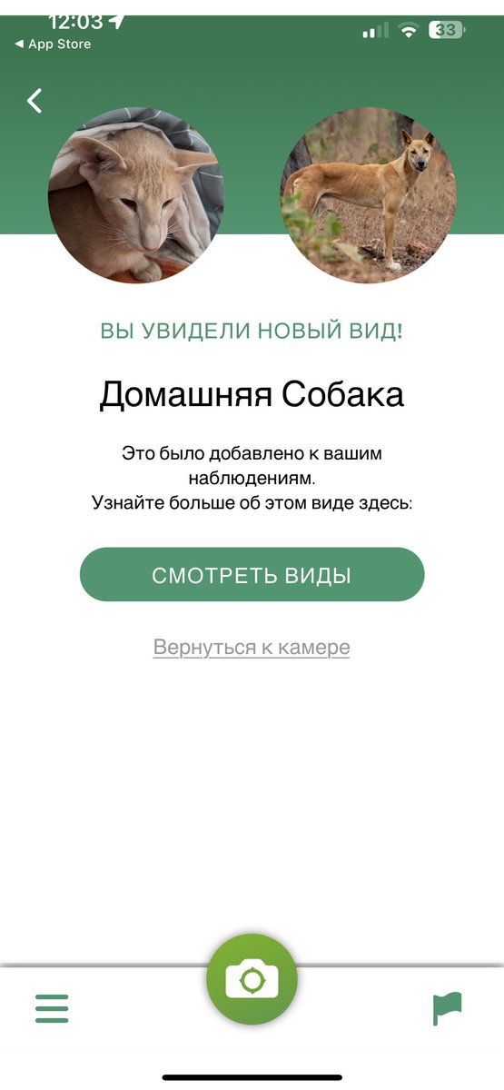 romoonterra's tweet photo. @ad_dew @arigna_d @ssatanovski13 Оно пыталось. https://t.co/4hV1AjI2bO