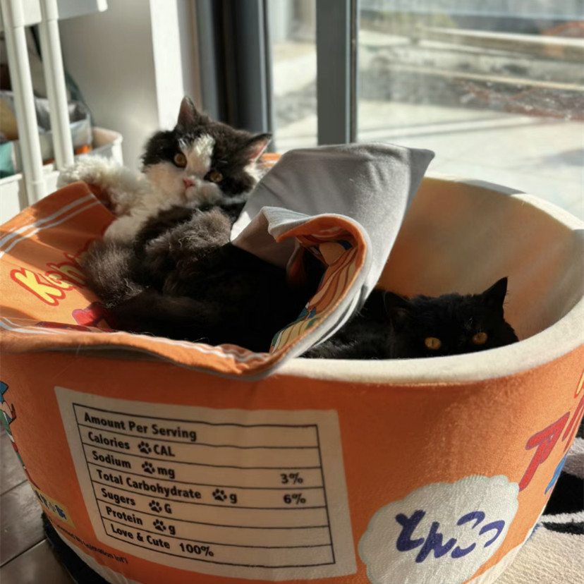 kashimaJP's tweet photo. Wow, we just found out that our product is bunk beds😂!Super bearing capacity, high quality resilience✨.Let's have a rest with Action Kamen ramen bed.🤗@crayon_official#クレヨンしんちゃん  #ねこ #ネコスタグラム #子犬 #こいぬ #ペット #ペットハウス #ペットベッド #pets #cat #puppy https://t.co/uGvG0MVmc3