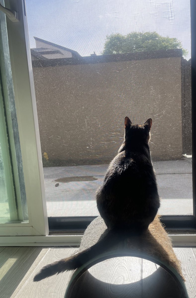 thicc gorl