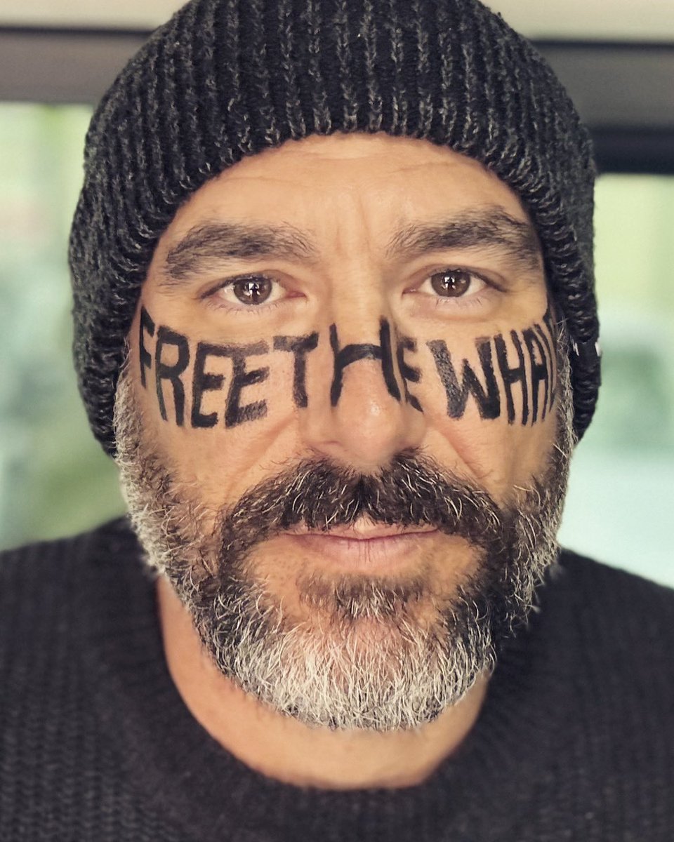 walruswhisperer's tweet photo. #FreeTheWhales https://t.co/U1HYlrXqqB