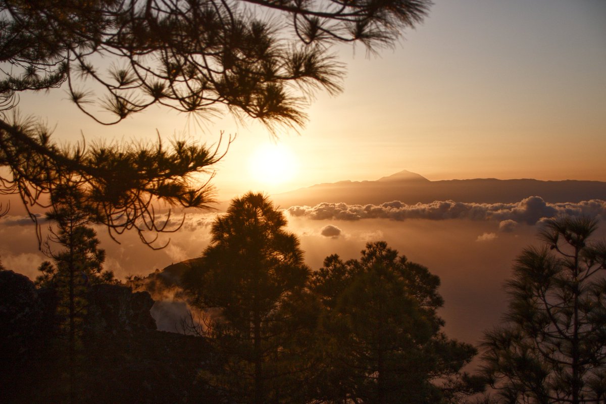 JonatanMD's tweet photo. 🌄✨ https://t.co/8TiiGD06M8