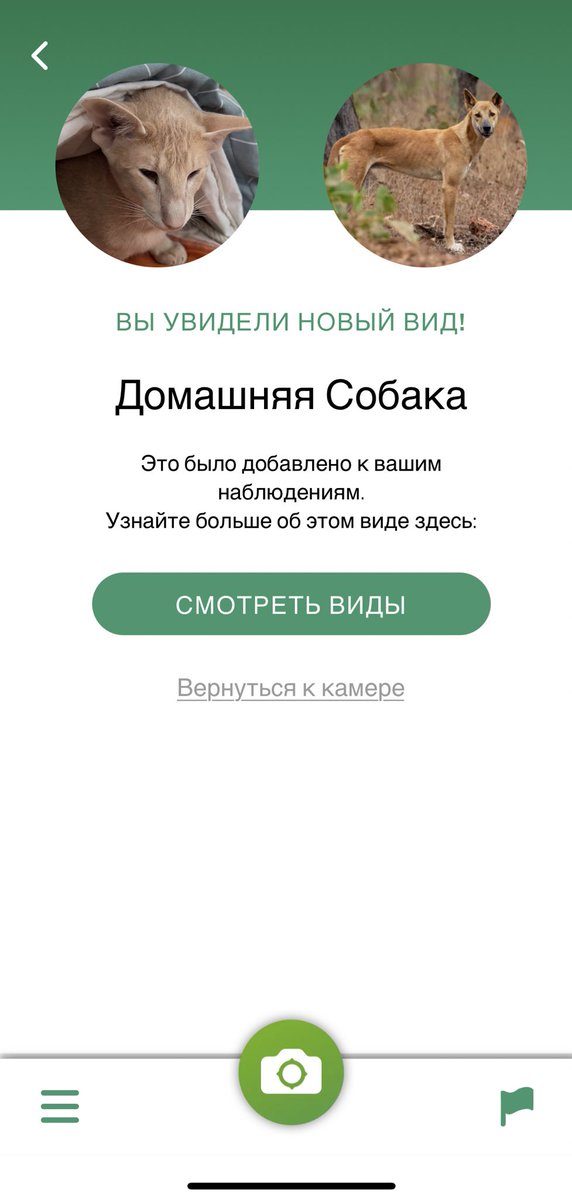 romoonterra's tweet photo. Плюша врал нам все эти годы. https://t.co/PhfnjGKBPc