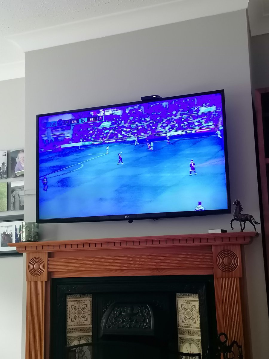 SharonDaly tweet media