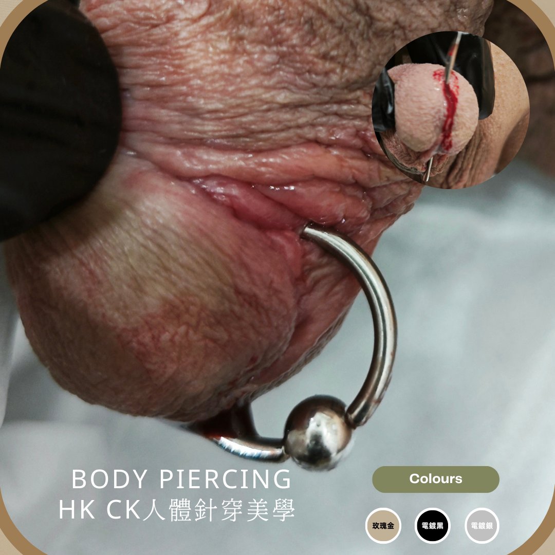 ck85200's tweet photo. pa環 - 初級環 
除了流血 康復最快 
位置薄只需30min麻醉滲透便可無痛

#pa環 #pa环 #香港穿环 #深圳穿环 
#香港持牌專業穿環店 https://t.co/CL6Ey6IUY1