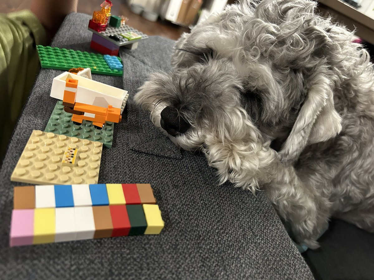 犬がめっちゃおもりしてくれてる！ https://t.co/37ngjiS1vH