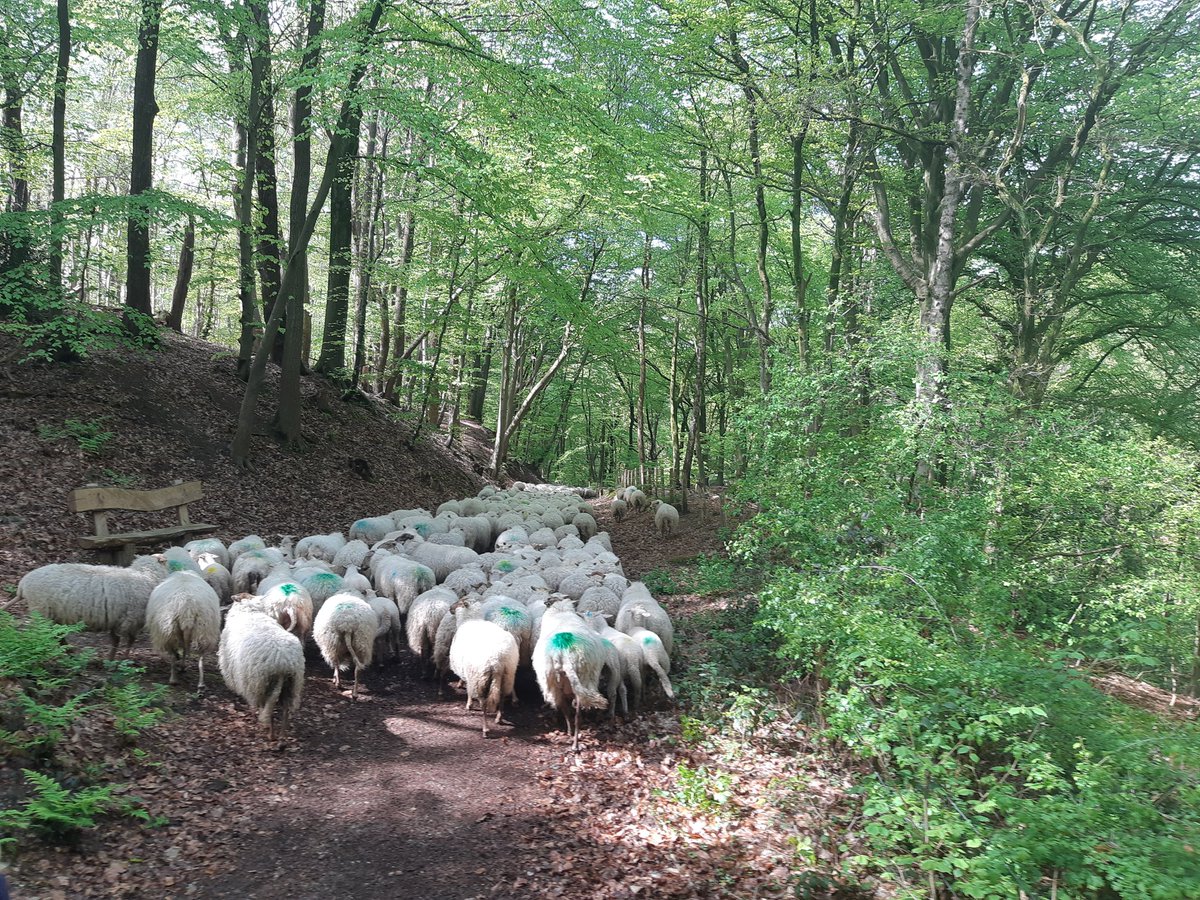 Bart Willers (@bartwillers) on Twitter photo 