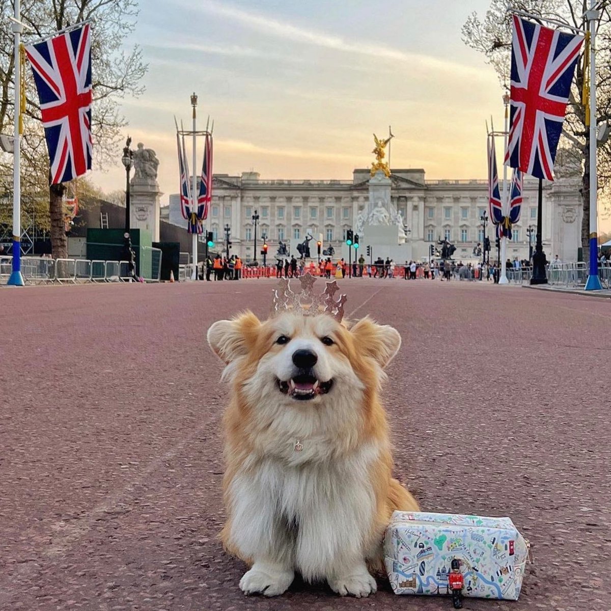 badgalvale's tweet photo. the most british photo I see. 

#Coronation https://t.co/L2RqMNYcax