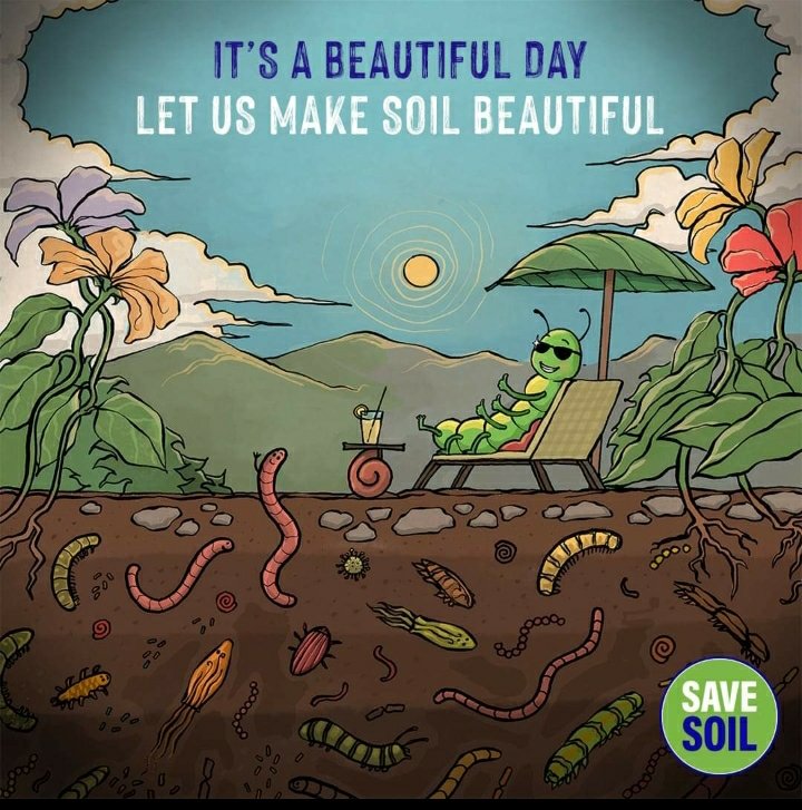 With a wonderful job it is so important that save the Soil.#ConsciousPlanet #SaveSoil #SoilDoctors #SoilHealth @AgricolturaNews @Radio3scienza @UciAgricoltura
