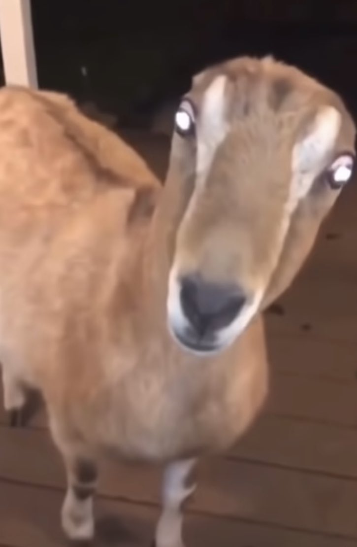 KeeganExplained's tweet image. “keegan explained returns”