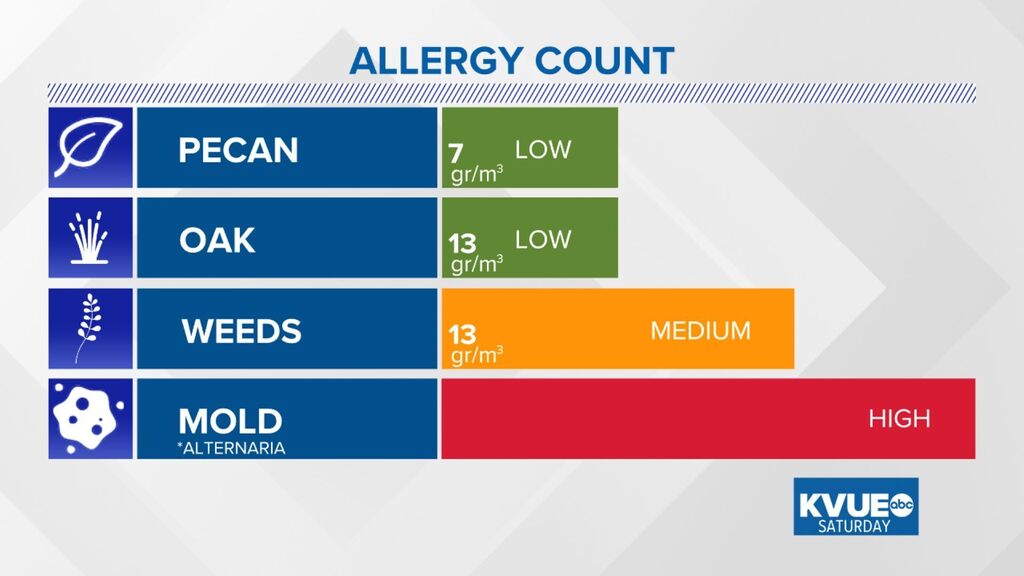 Austin Allergies tweet media