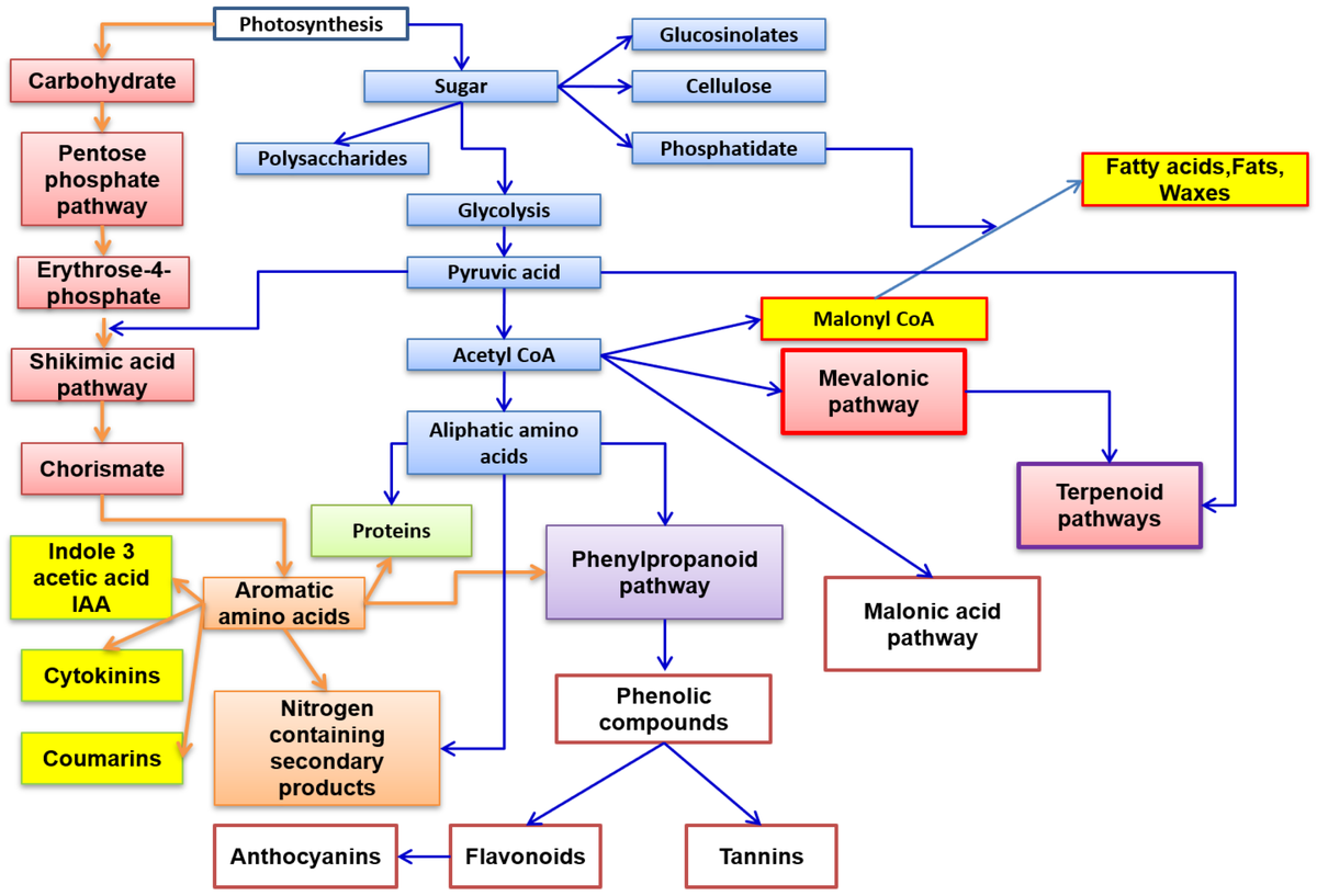 Molecules_MDPI's tweet photo. ๐#secondarymetabolites #cellculture #elicitor #biologicaleffects
New Publication โBiotechnology and In Vitro Culture as an Alternative System for Secondary Metabolite Productionโ
By: Monica Gallo, et al.
๐ https://t.co/GMDAp4SBZJ
#mdpimolecules #NewPublication https://t.co/nhTST3g3uD