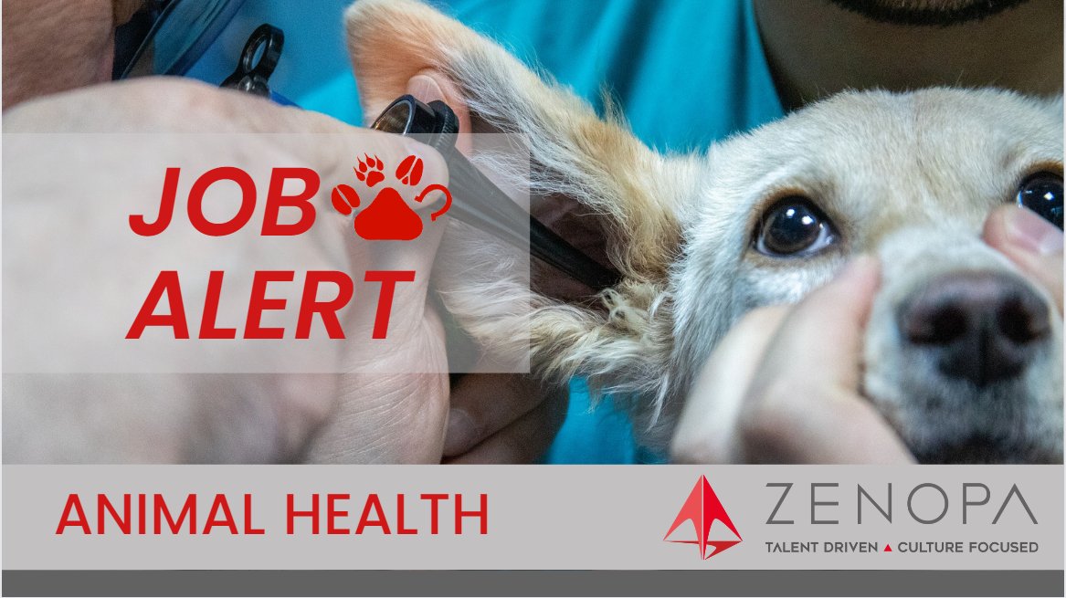 Regional Territory Manager: bit.ly/3VCXVeF
Apply with Poppy: poppy@zenopa.com 01494818011