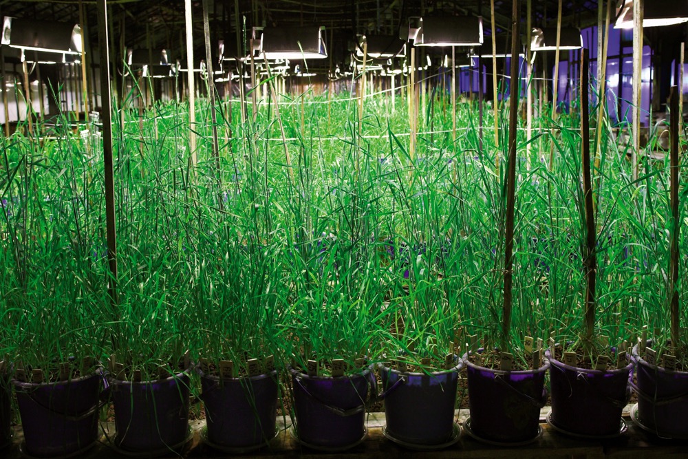 Organic industry wants gene editing directory. organicbiz.ca/organic-indust…