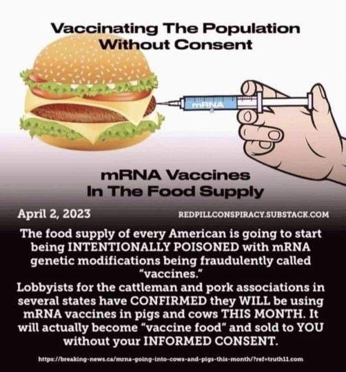 Gitmo (Health is a Wealth) 🇺🇸🇮🇱 tweet media