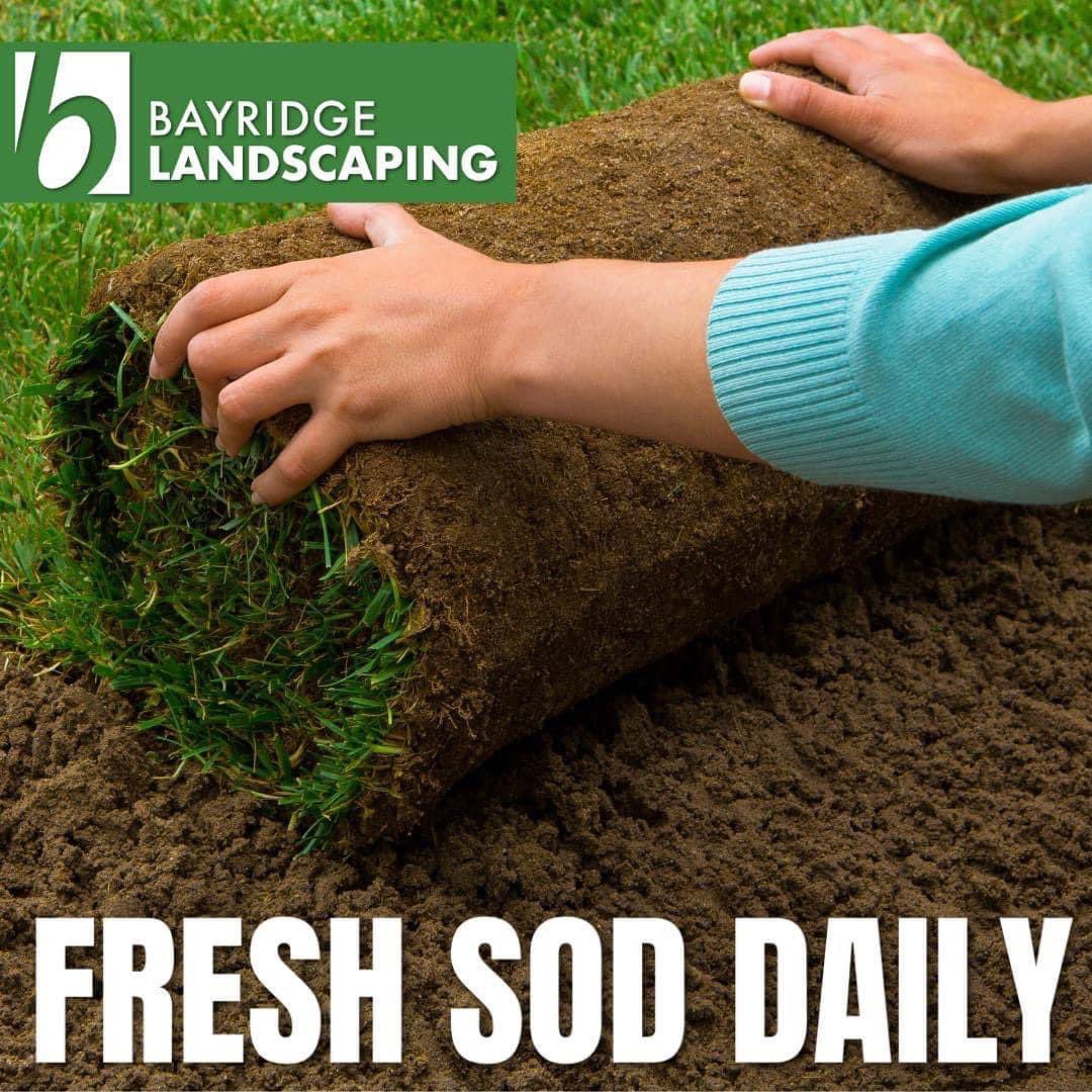 Bayridge Landscaping (@bayridge1984) on Twitter photo 