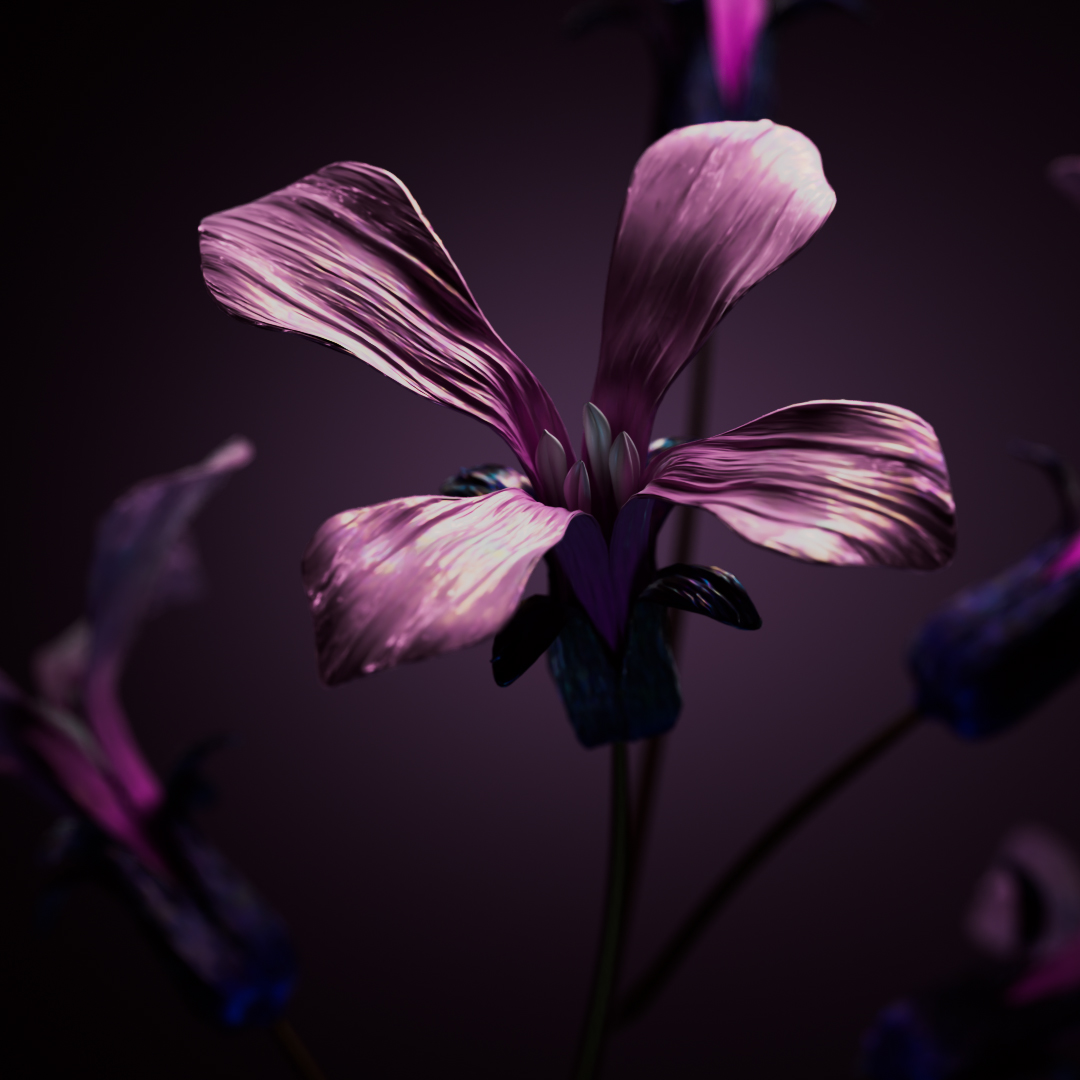 First pass at materials for my little Lunaria Annua flower. Next will be finishing the rig and animating and then adding more variation to the textures. Rendered with @OTOY 👀🌺 #Houdini #3D #Floral #GravitySketch