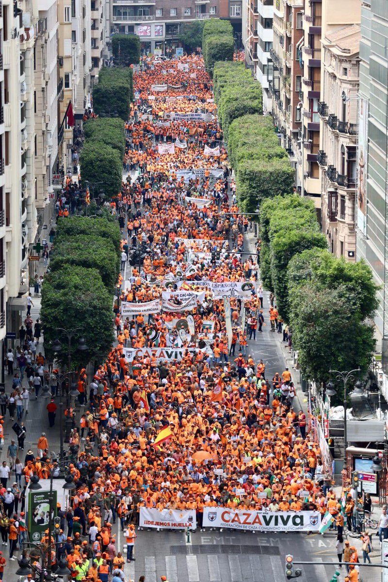 Qué maravilla. Enhorabuena y muchísimas gracias a toda la marea #naranjaescaza y a todo el equipo de <a href="/fedcazacv/">Federación Caza CV</a>, encabezada por <a href="/Lorenamfrigols/">Lorena Martínez</a>. Enorme trabajo!! #caza #CazaViva6M