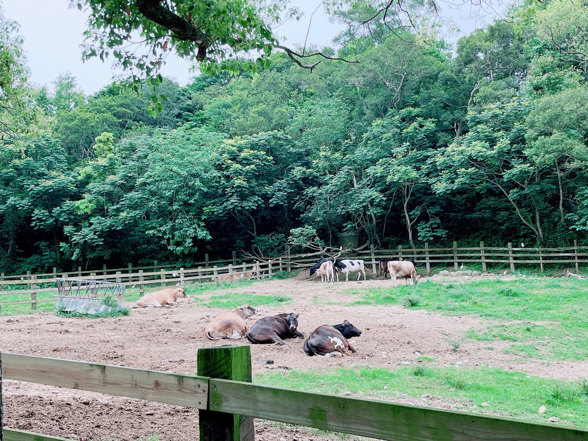 躺🐮😂😂😂😂