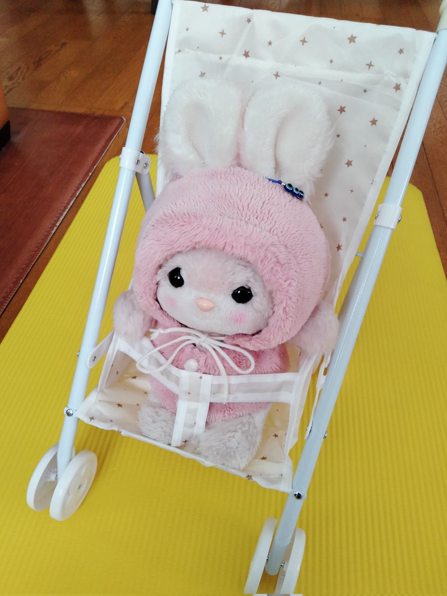 うさちゃん (@ZUKIN_USACHAN) / Posts / X