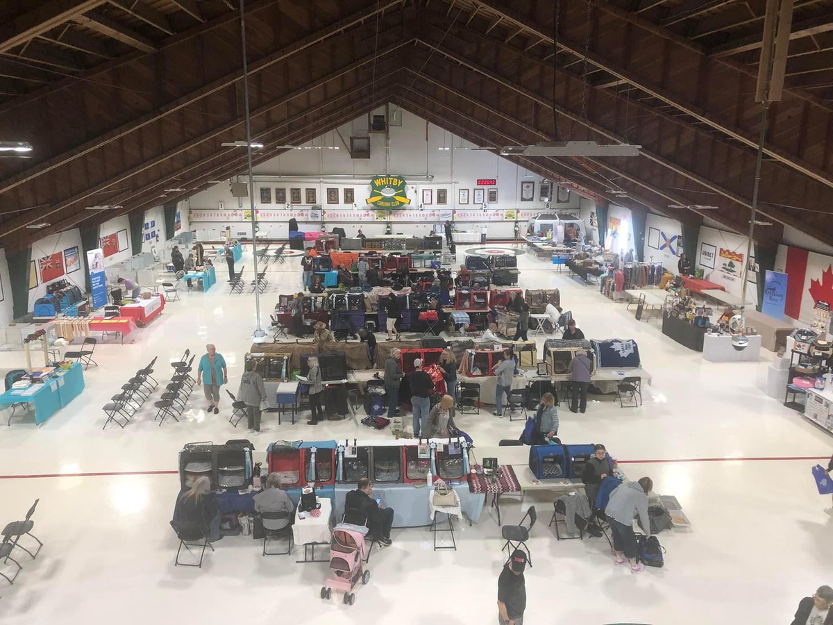 Toronto Curling tweet media