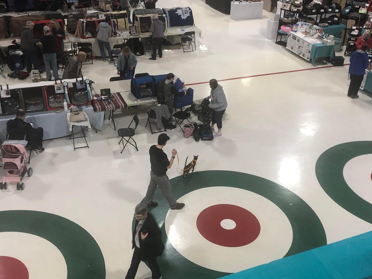 Toronto Curling tweet media