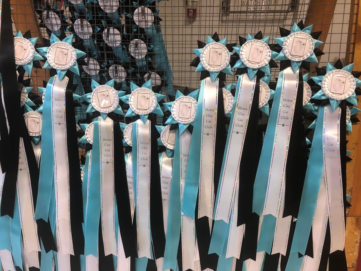 Toronto Curling (@torontocurling) on Twitter photo Happy Cat-urday !
It’s a purrrrfect day for very impawtant felines at <a href="/WhitbyCurling/">Whitby Curling Club</a>’s Motor City Cat Show.
Have a Clawsome Day 🐱🥌😄
#curling Happy Cat-urday !
It’s a purrrrfect day for very impawtant felines at <a href="/WhitbyCurling/">Whitby Curling Club</a>’s Motor City Cat Show.
Have a Clawsome Day 🐱🥌😄
#curling