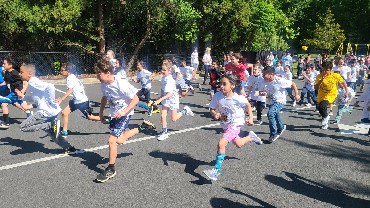 Pamela Kalso tweet media