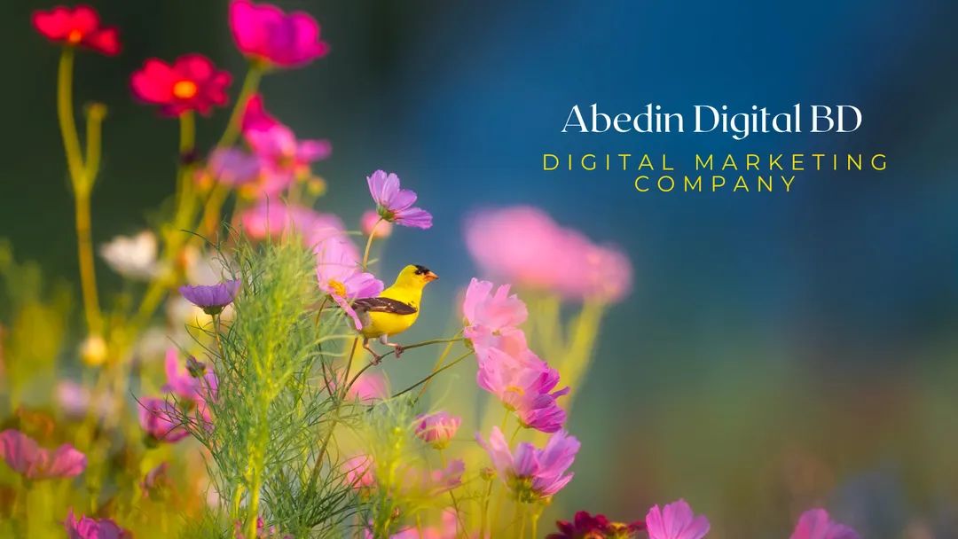 abedindigital's tweet photo. @abedindigitalbd https://t.co/892iER7oRg