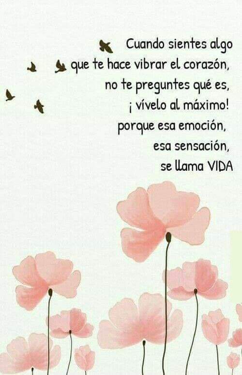 Rocío Hernández Maldonado (@rocihernndezma6) on Twitter photo 