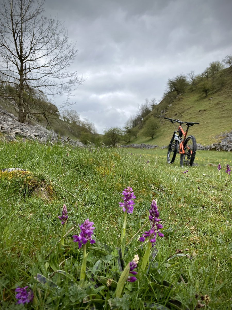 mozzasnaps's tweet photo. @KoftheP Did White Peak Wormhill & Horseshoe Dale via βKingβ Sterndale of course ππ mostly dry, just a few slightly muddy patches here n there. Limestone tracks a bit greasy but very quiet & beat the rain π #mtb #benicesayhi https://t.co/ek9SPDl43w
