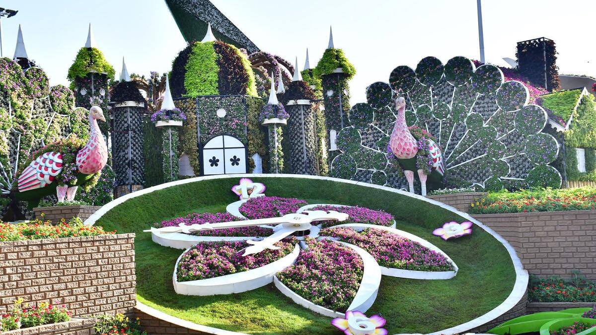 HQikl9's tweet photo. 3 популярных места, которые скоро закроются на летний сезон:
1. #MiracleGarden - Парк, где растет более 150 млн цветов, работает до 4 июня.
2. #HattaResorts - Инфраструктура горного курорта закрывается с 15 мая.
3. #RipeMarket - open-air рынок в Academy Park открыт до 14 мая https://t.co/23rHQSsTBC