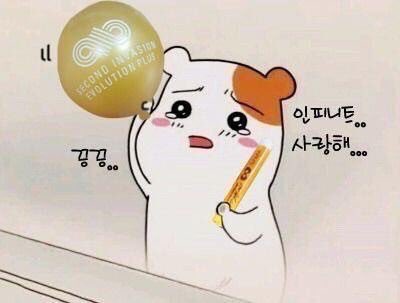 woohyu's tweet photo. I HEARD INFINITE ARE BACK?! https://t.co/qUgw4AVBVt